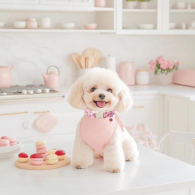 Strawberry Bow Dog Collar for Puppy Small Dogs - Cute Pink Spring/Summer Girl Dog Collars, Lightweight Adjustable Female Girly Dogs Collars with Quick Release Buckle XS