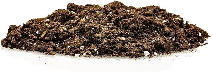 GARDENERA Premium Pothos Potting Soil Mix - Air Cleaning Plant Potting Mix, Soil Mix for Pothos, Parlor Palm, Peace Lily - (4 Quart Bag)