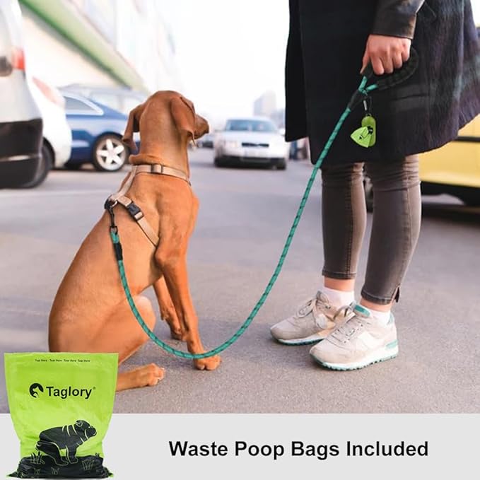Taglory Rope Dog Leash 6 FT with Comfortable Padded Handle, Highly Reflective Threads Leash and Anti-Tangle Clip for Walking Small Dogs, 3/8 inch, Turquoise