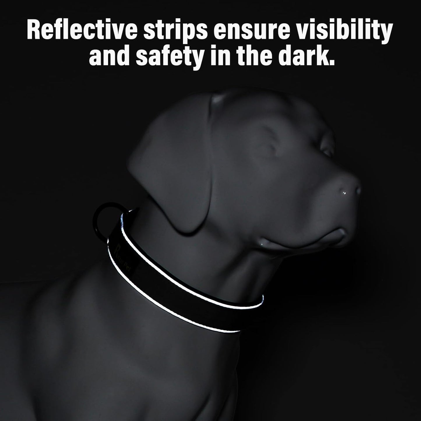Plutus Pet Tactical Dog Collar, Reflective, Adjustable Heavy Duty Dog Collar, Soft Padded and Comfortable, for Small Medium and Large Dogs (Teal, S)