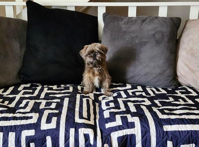 Waterproof Blanket, 60”x70” - Large Couch Cover for Dogs and Pets - Ideal for Picnics, Outdoor, Camping, Beach and More - Large, Washable Protector