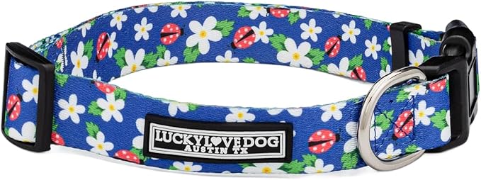 Lucky Love Dog - Adjustable Dog Collar with Easy Click Buckle for Large Ones, Durable, & Comfortable for Male & Female Dogs, Pet Collar for Puppies & Adult Dogs - Lilian, Large