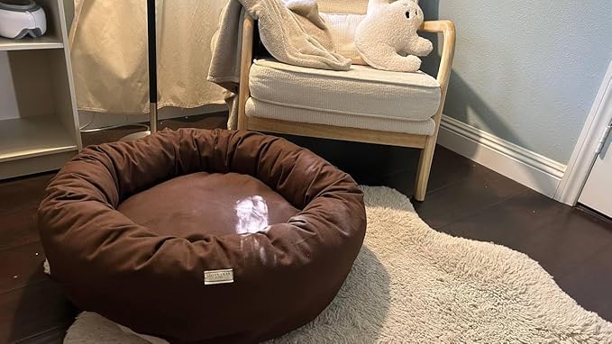 Organic Cotton Canvas Dog Bed: Removable Cover, Natural Fill - Made in USA (Dark Brown, Small 24" x 7" inches)