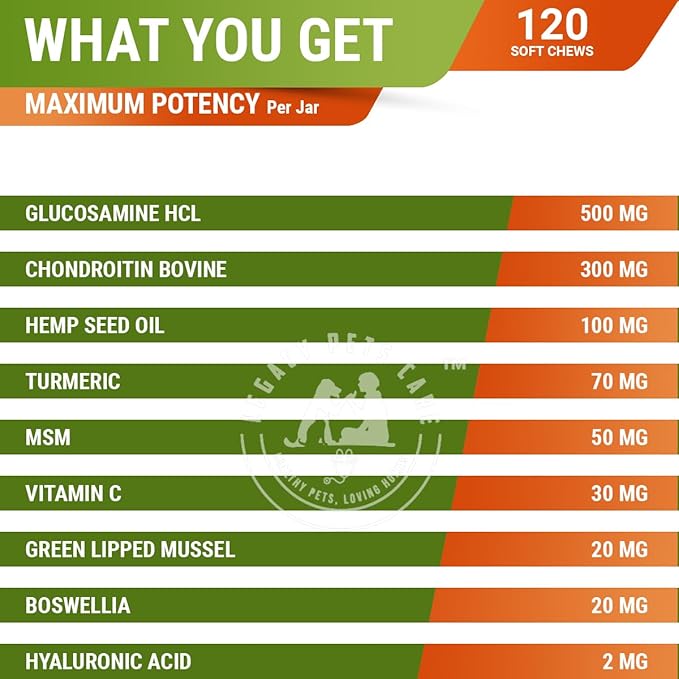 Hip & Joint Supplement for Dogs – Glucosamine Chondroitin Dog Chews with Hemp, MSM, Turmeric – Supports Mobility for All Breeds – Beef Flavor – 120 Soft Chews – Joint Chews