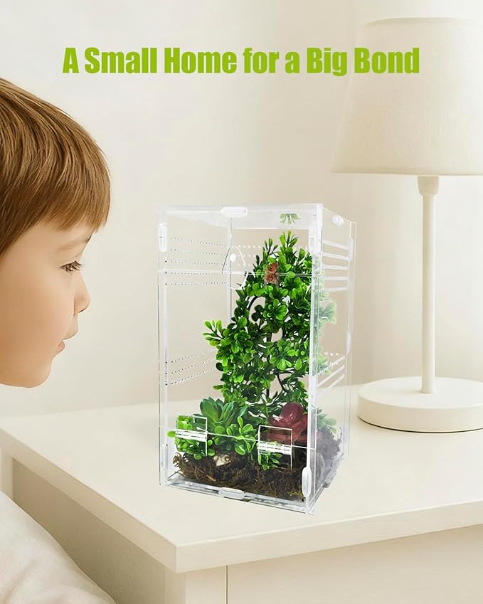 Jumping Spider Enclosure 6”x6”x10”, Transparent Arboreal Tarantula Habitat, Praying Mantis Terrarium Critter Cage for Jumping Spider, Tarantula, Mantis, Snail, Isopods, Beetles, Millipedes