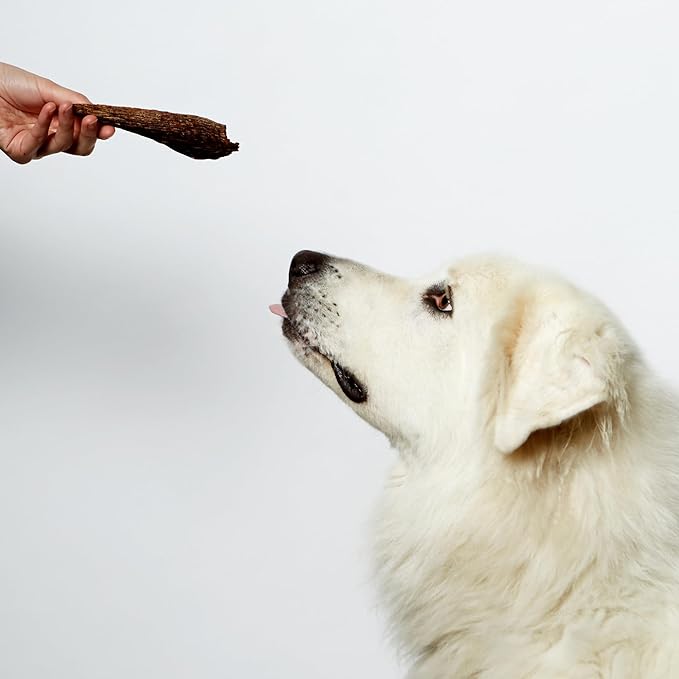 Nom Nom Beef Jerky Treats - All-Natural Dog Snacks for Training, Rewards, and Mealtime Toppers - Non-GMO, No Fillers, Preservatives or Added Ingredients - Prepared in the USA for Dogs