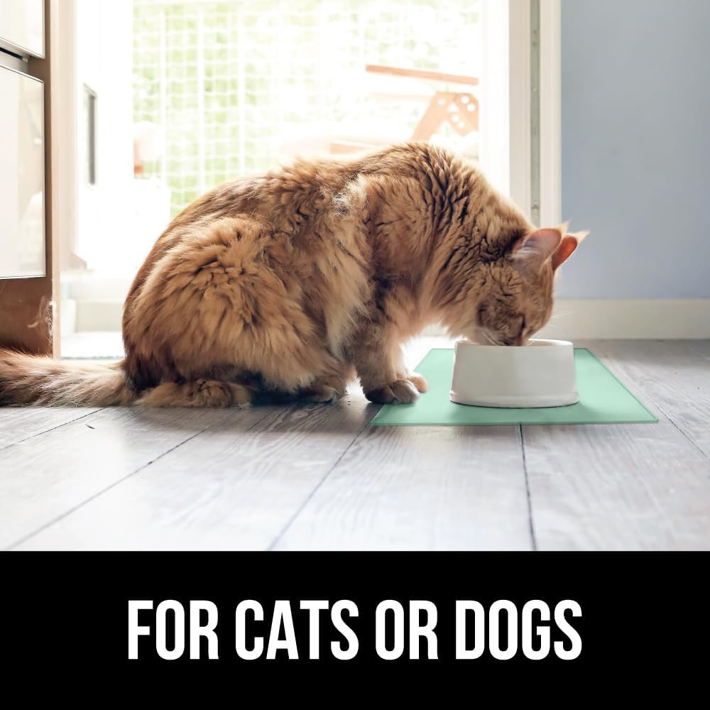 GORILLA GRIP 100% Waterproof Raised Edge BPA Free Silicone Pet Feeding Mat, Dog Cat Food Mats Contain Spills Protects Floors, Placemats for Cats and Dogs Water Bowl, Pets Accessories 23x15 Mint