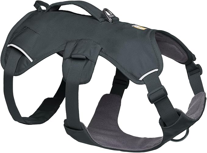 Ruffwear, Web Master, Multi-Use Support Dog Harness, Hiking and Trail Running, Service and Working, Everyday Wear, Basalt Gray, Large/X-Large