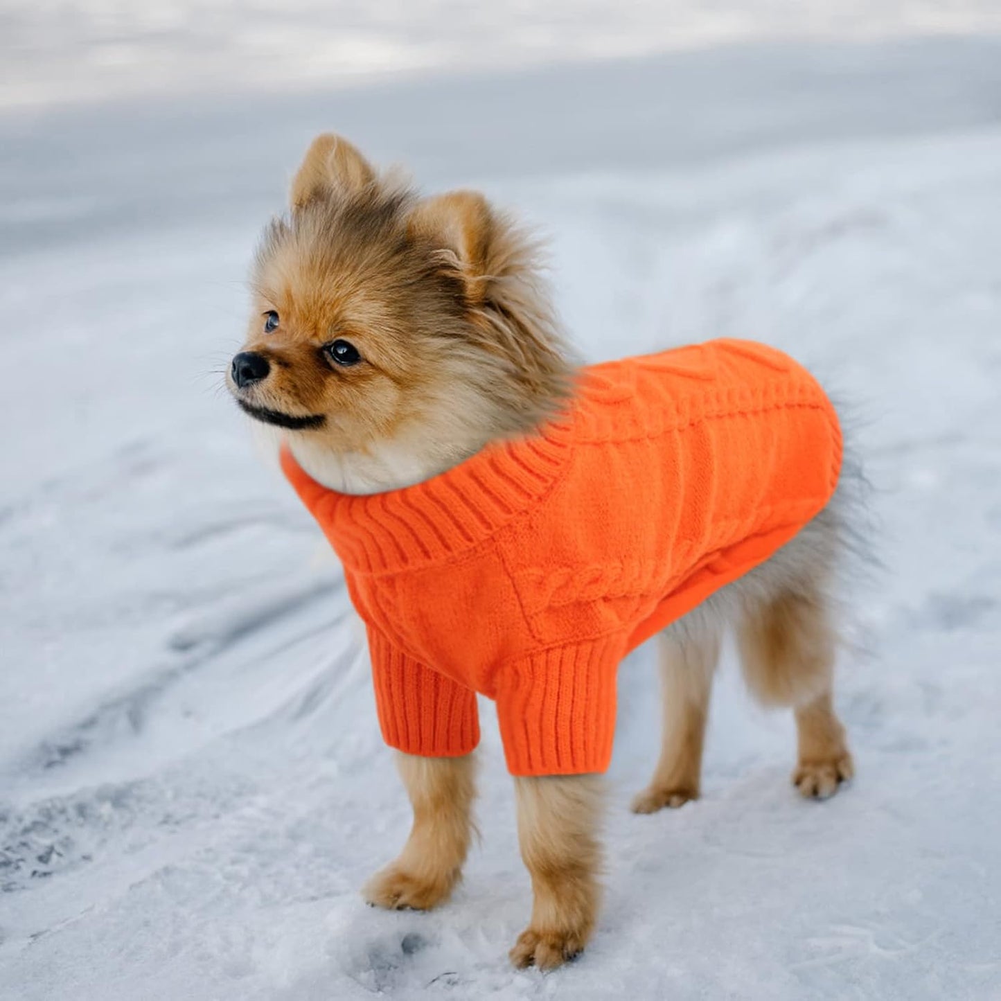 Queenmore Small Dog Pullover Sweater, Cold Weather Cable Knitwear, Classic Turtleneck Thick Warm Clothes for Chihuahua, Bulldog, Dachshund, Pug (Orange, Medium)
