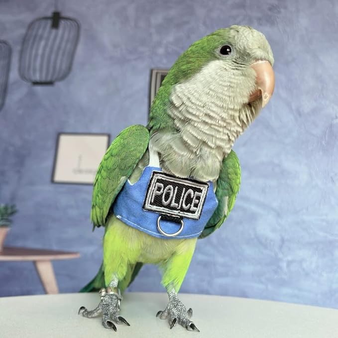 Bird Flight Harness Vest, Parrot Flight Suit with Leash, Bird Flying Clothes with Rope and Handle for Outdoor Activities (with Leash,Budgie)