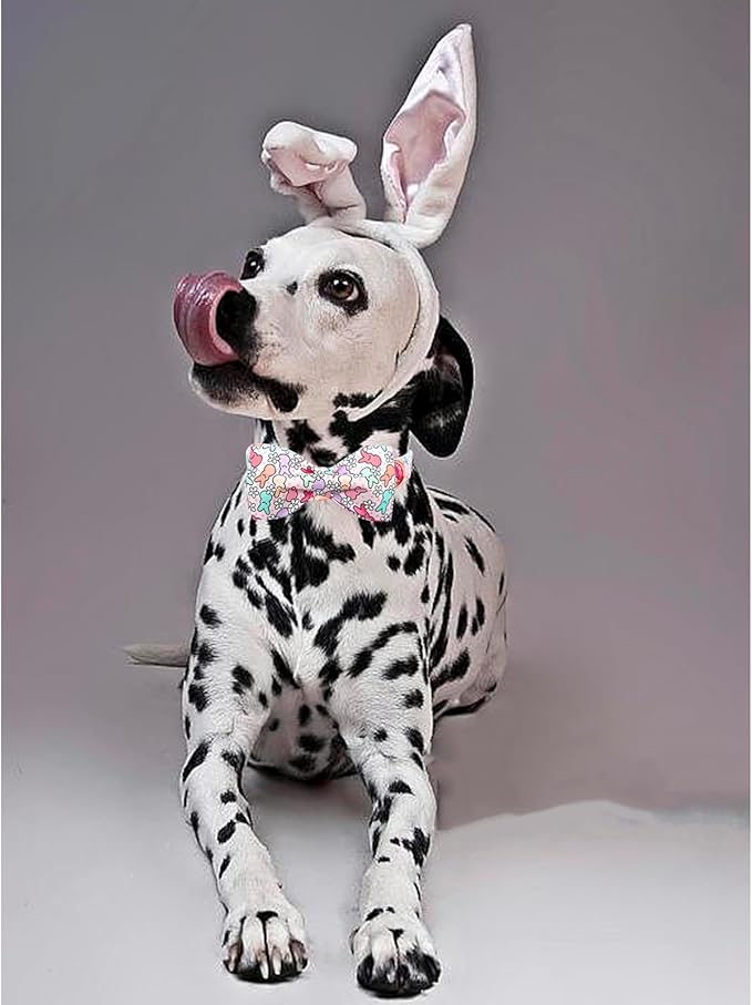 Lionheart Glory Easter Day Dog Collar with Bowtie for Large Dogs, Rabbits