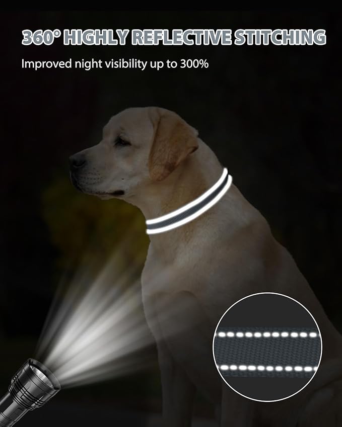 Joytale Large Dog Collar, Reflective and Adjustable Nylon Pet Collar with Quick-Release Buckle for Large Dogs, Gray, L