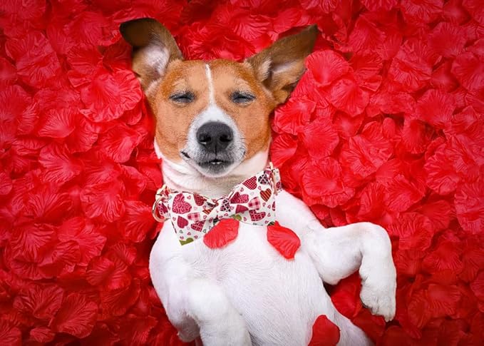Lionheart glory Heart Dog Collar, Adjustable Dog Collar with Bowtie, Pet Gift Collar for Dog Soft Bowtie Dog Collars for Small Dogs