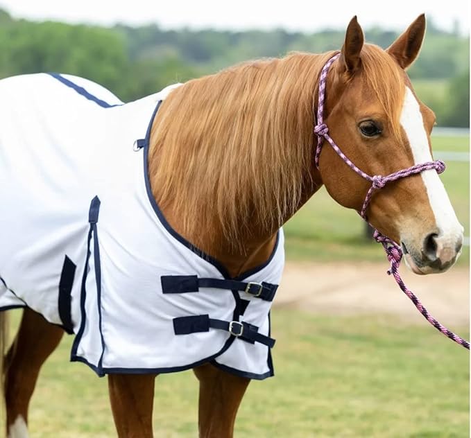Tack Shack of Ocala- Reinsman Circle Y Breathable Mesh Fly Sheet, Fly Sheet for Horses, Mesh Fly Sheet, Fly Sheet, Breathable Comfy Fly Sheet (72)