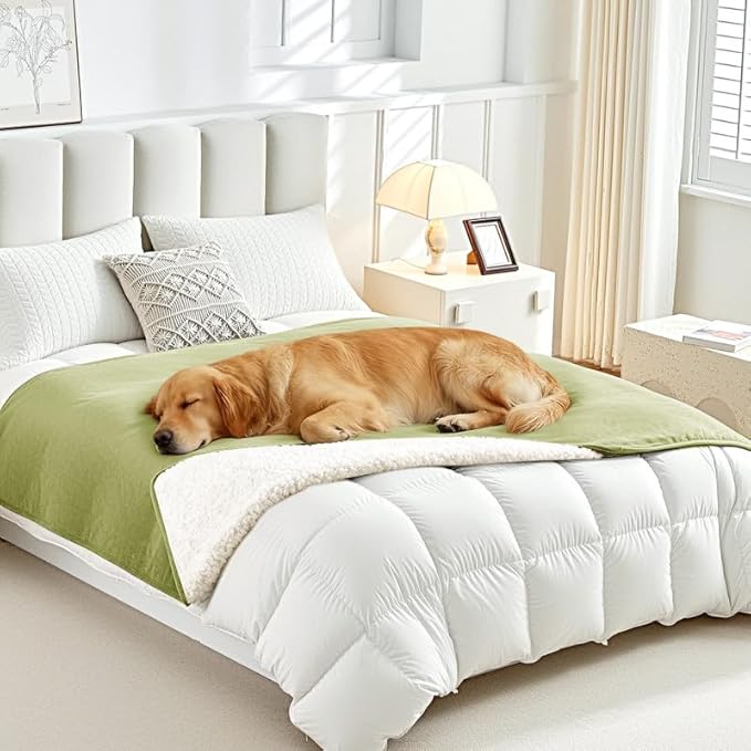 Lekereise Reversible Waterproof Dog Blanket, Super Soft Couch Cover for Dogs, Washable Leak-Proof Protector for Sofa Bed Car Seat, for Cats to Large Dogs (Green, 25" x 35")