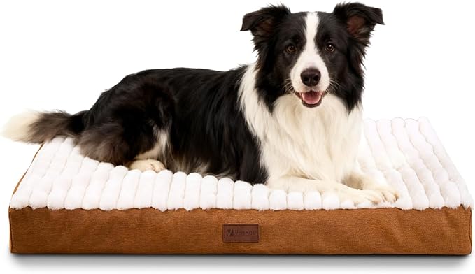 Orthopedic Dog Bed with Firm High-Density Egg Crate Foam,Soft Short Plush Surface Pet Beds,Machine Washable with Removable Cover & Non-Slip Bottom for Medium & Large Breeds (Brown, 35"L x 22"W x 3"H)