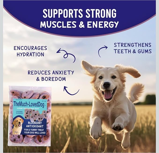 The Much-Loved Dog!™ Blueberry Dog Treat Refill – Natural Biscuits for Large & Small Dogs – Healthy Puppy Treats for All Breeds, Made in USA, Soft Training Snacks (1 Pack, Blueberry)