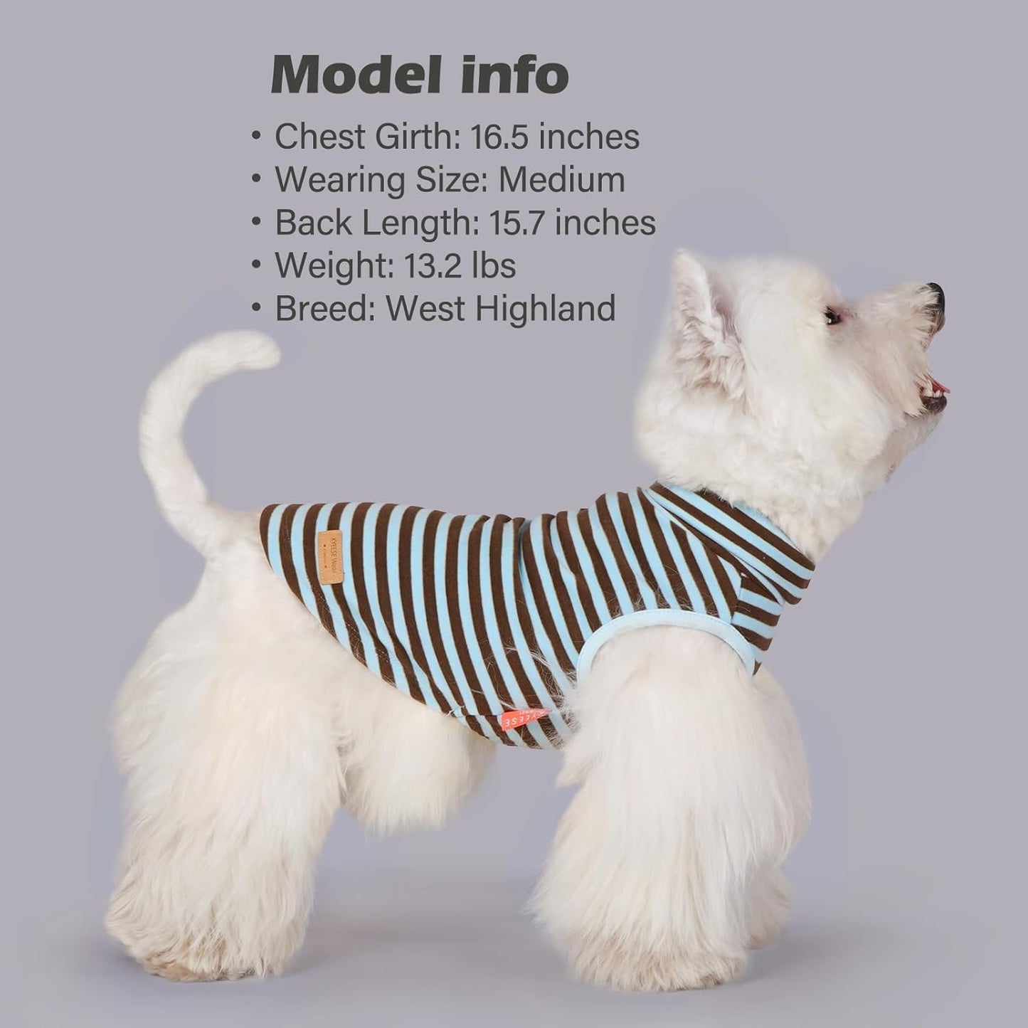 KYEESE 2Pack Dog Sweater Stretchy Dogs Clothes Soft Dachshund Clothes Turtleneck Small Pet Sweaters Pullover Pets Sweatshirt Warm Pet Coats Dog Sweaters for Small Dogs Male