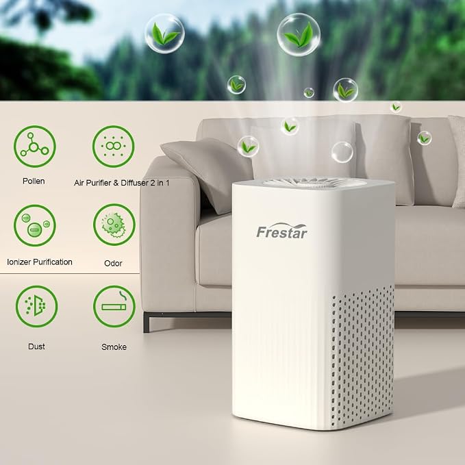 Small Air Purifier and Diffuser 2 in 1