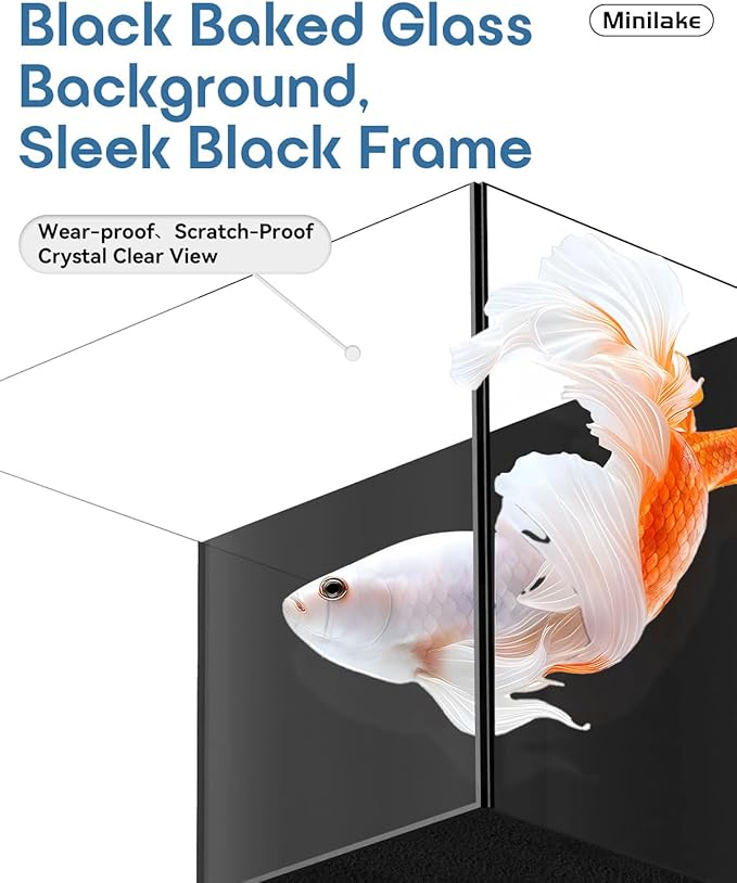 Glass Fish Tank Kit, 0.5 Gallon Betta Fish Tank Aquarium Starter Kit with Filter, Lights, Lid, for Betta, Goldfish, Small Fish or shrimg
