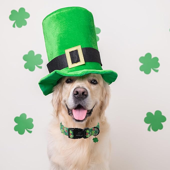 St Patricks Day Dog Collar for Medium Dogs - Lucky Flower Shamrock Green Dog Collars, Cute Irish Clover Puppy Collar with Quick Release Buckle for Girls&Boys Dogs M