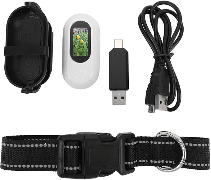 SUNGOOYUE Pet Collar Camera, 1080P HD Video Recording Adjustable Angle View with Back, for Dogs Cats Indoor Outdoor Travel Adventure (64GB)