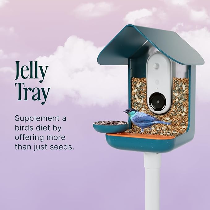 Birdbuddy 3-in-1 Nutrition Set - Outdoor Bird Accessories with Water Fountain, Fruit Spike & Jelly Tray Feeder - Durable, Easy Attachment for Bird House (Pack of 2)