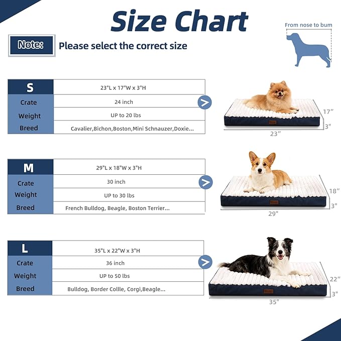 Orthopedic Dog Bed with Firm High-Density Egg Crate Foam, Soft Short Plush Surface Pet Beds,Machine Washable with Removable Cover & Non-Slip Bottom for Medium Breeds (Blue, 29" L x 18" W x 3" H)