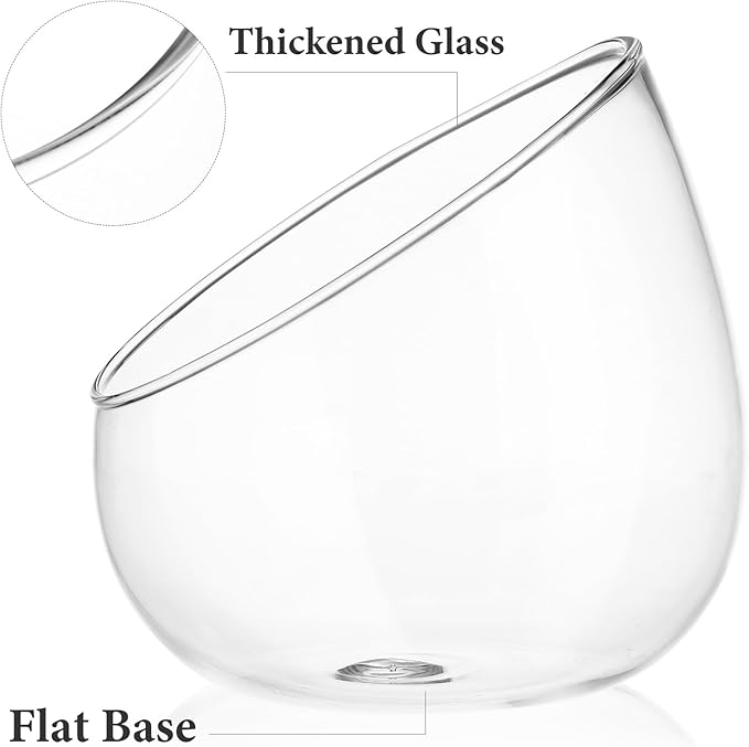 BESPORTBLE Slant Cut Glass Terrarium Bowl - Clear Glass Vase for Succulents, Air Plants, Cactus, Hydroponic Plants, Decorative Centerpiece, 4.72 X 4.72 X 3.93 Inch