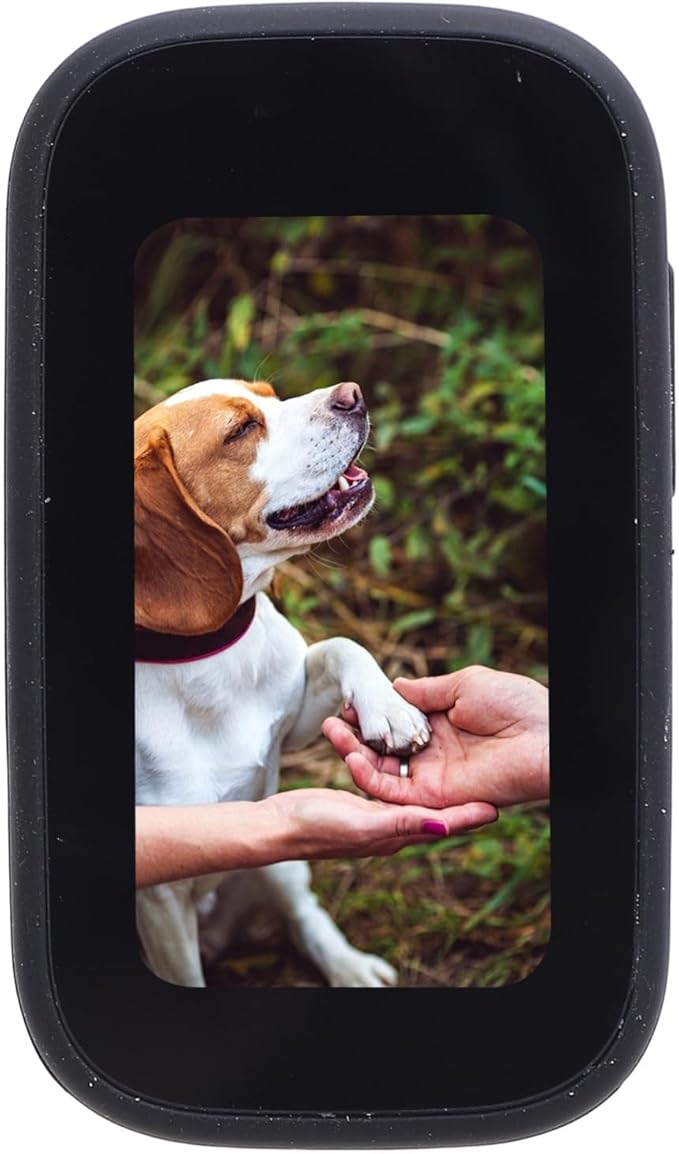 Pet Body Worn Camera, Pet Wearable Body Cam with HD Resolution and Water Design, Lightweight Action Camera for Dog Cat Outdoor Travel Adventures (Black)