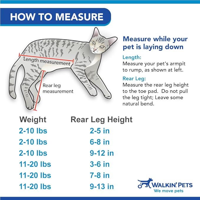 Walkin' Wheels Lightweight – for Small Cats 2 to 20 Pounds – Veterinarian Approved – Cat Wheelchair for Back Legs, for Cats 11-20 lbs, 7-8 inches Leg Height – Blue