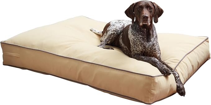 South Pine Porch Buddy Reversible Rectangle Pillow Style Microfiber Dog Bed with Removable, Machine-Washable Cover, Cream, Large (48 in. x 36 in.)