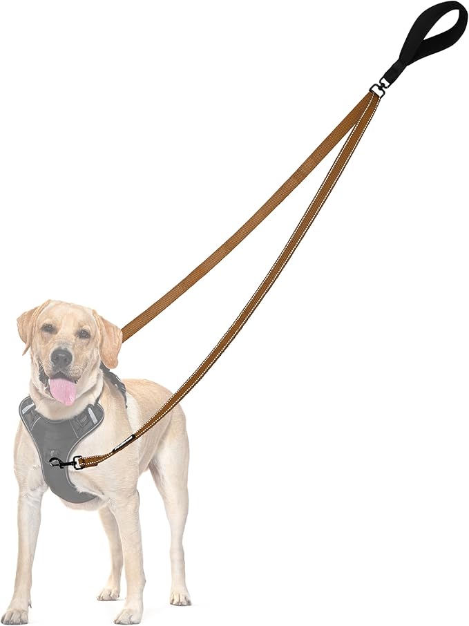 PetBonus Two Point Control Dog Leash, Works with No Pull Harnesses, No Tangle Training Leashes, Soft Padded and Reflective Walking Lead, Converts to Single Lead for Medium Large Dogs (Brown)