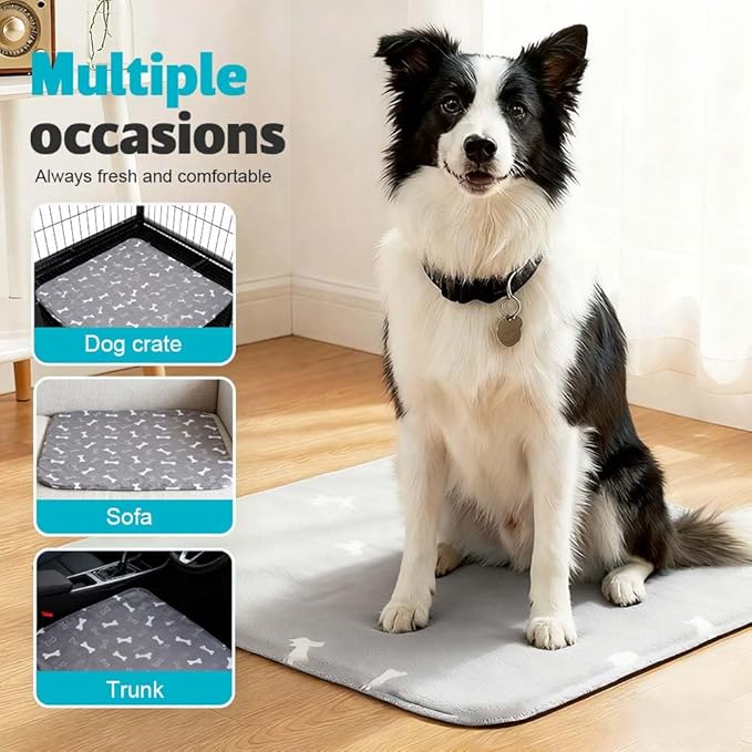 Puppy Pads for Dogs, 2026 New Washable Puppy Pads with Pheromones, Pee Pads for Dogs & Cats, Durable Leak-Proof & Anti-Slip Pet Training Pads for Home & Travel, Reusable (White, 15.7" x 23.6")