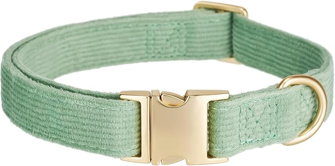 Soft Cotton Dog Collar with Metal Buckle Adjustable Heavy Duty Comfy Corduroy Collars for Small Medium Large Dogs,Grass Green,Small