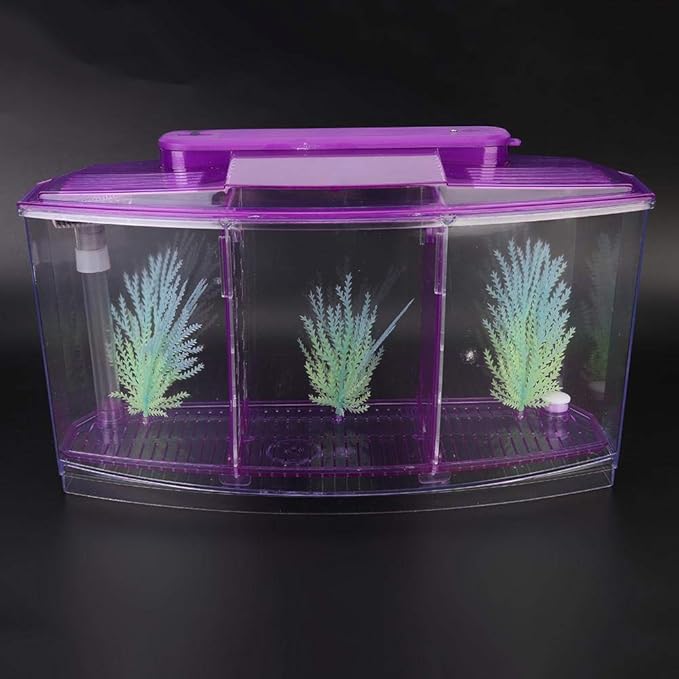 Breeding Fish , Adjustable Light Mini Fish , Three Areas for Small Fishes Betta()