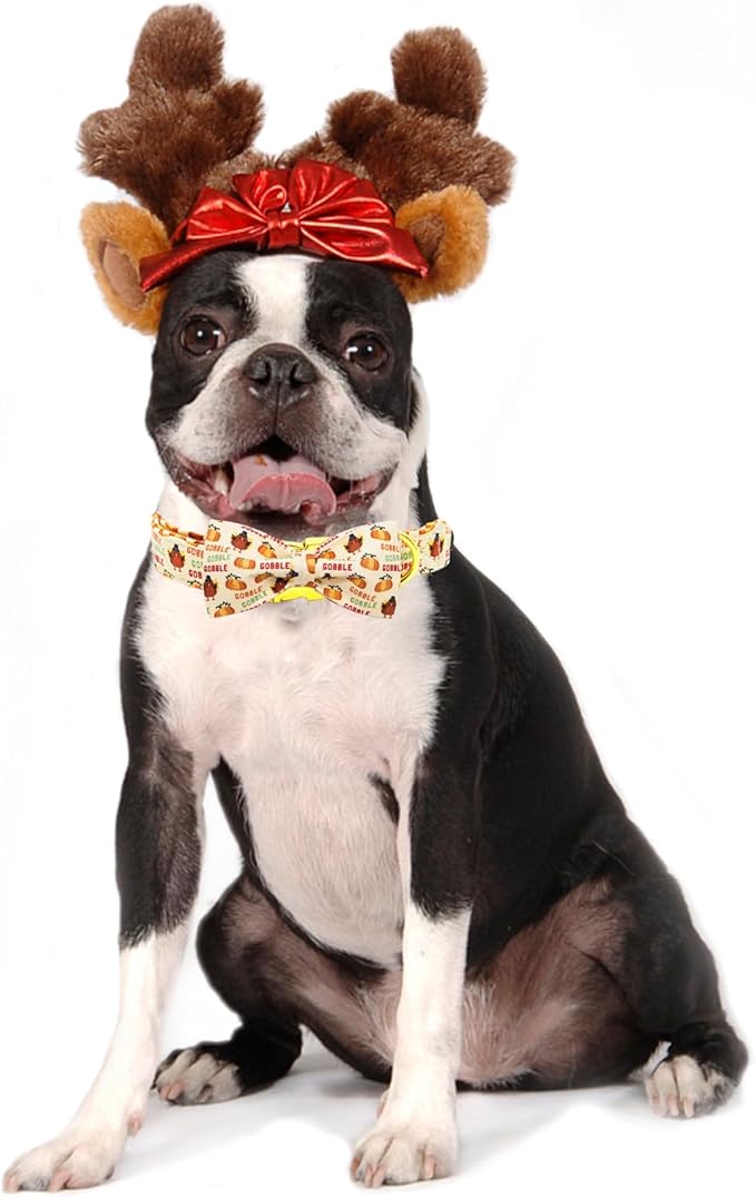 Adjustable Dog Collar for Small Dogs - Thanksgiving Turkey Pet Collar with Bow
