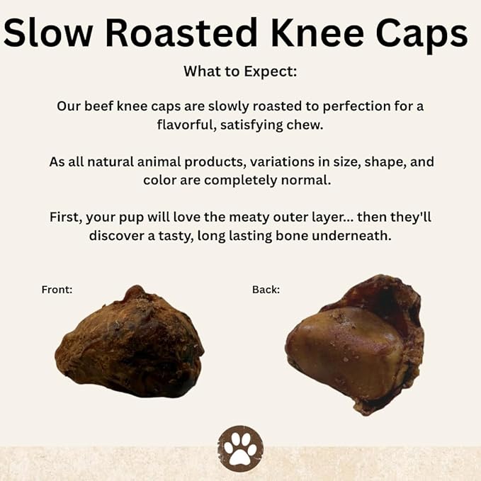 Top Dog Chews – Knee Caps, 20 Count, Dog Beef Chew Bones, Long Lasting Treats for Aggressive Chewers, Perfect for Large Medium, or Small Dogs, Made in USA