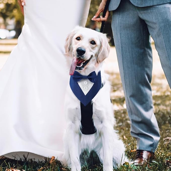 Dog Wedding Bandana, Formal Dog Tuxedo Adjustable Pet Collar with Bow, Small, Medium and Large Wedding Clothing, Birthday Gifts for Dogs (Medium, Blue)