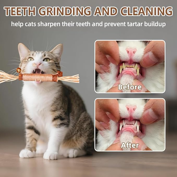 Natural Dried Matatabi Cat Chew Stick with Gall Fruit, Raffia Grass & Bell Cat Ball Toys, Handmade Silvervine Sticks Interactive Catnip Toys for Teething & Entertainment (Size M Color G)