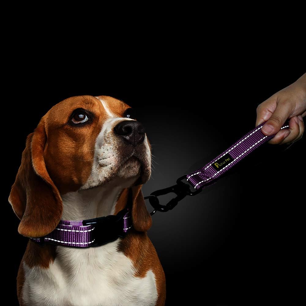 PLUTUS PET 10” Short Dog Leash, Reflective Nylon Padded Handle, Strong Traffic Leash with Carabiner Clip, Perfect for Large or Medium Dogs（10”，Purple