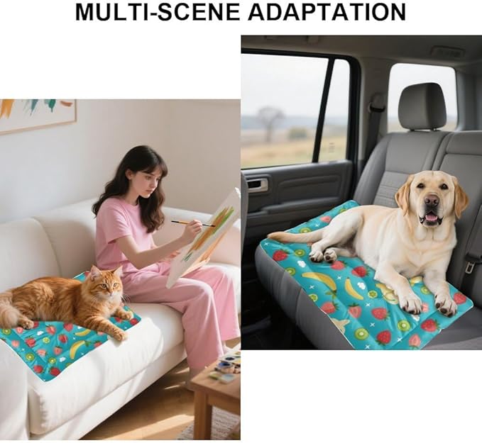 Mixed Fruit Turquoise Blue Dog Beds and Furniture Dog Crate Bed Mattress Kennel Pad Bed for Crate Washable Non-Slip Cushion for Cages Fuzzy Mats Dogs Furniture Indoor Outdoor 24X18 Inch