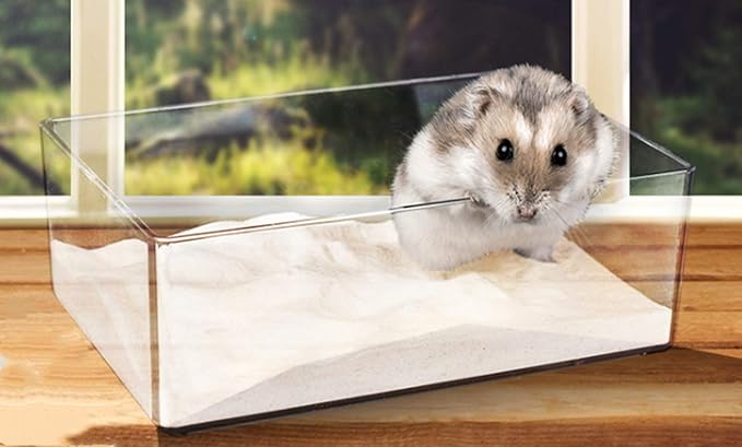 Cumuiu Hamster Sand Bathroom Clear Acrylic Toilet Tray Bathroom for Hedgehog Squirrel Hamster Guinea Pigs and Small Animal (Large)