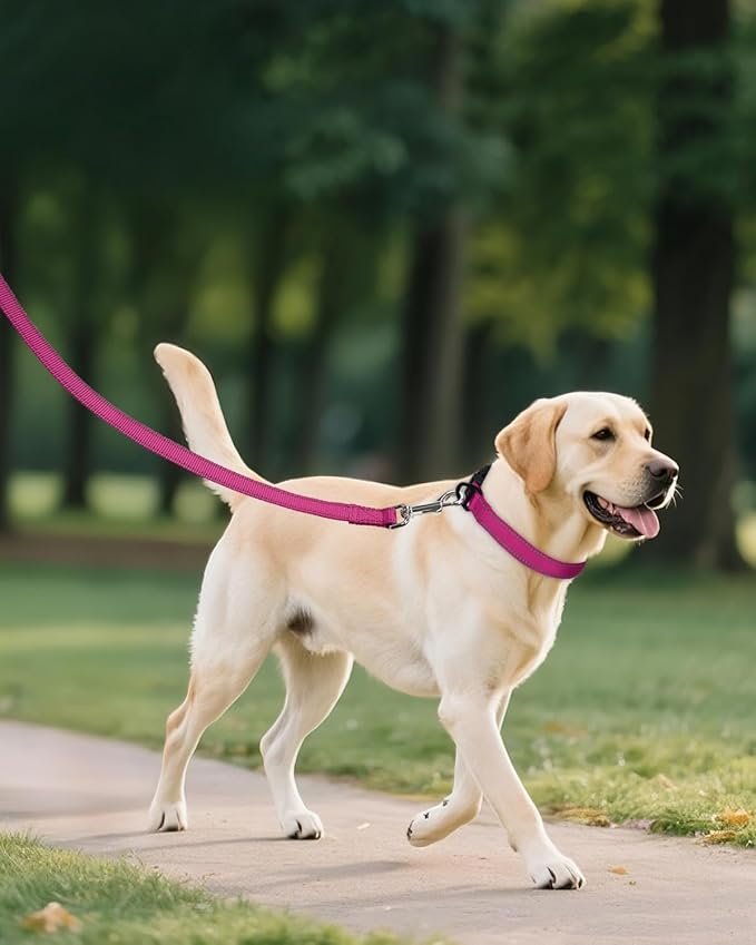 Joytale Large Dog Collar, Reflective and Adjustable Nylon Pet Collar with Quick-Release Buckle for Extra Large Dogs, Hotpink, XL