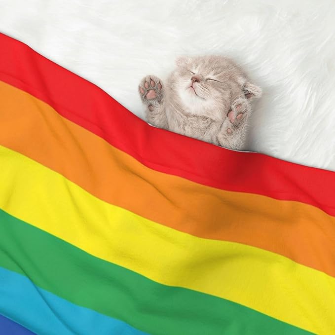 Reversible Plush Pet Blanket for Puppies Kittens, LGBT Pride Rainbow Flag, Double Sided Gentle Dot Texture for New Pets Adjusting to Home Environment Softly