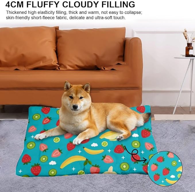 Mixed Fruit Turquoise Blue Dog Beds and Furniture Dog Crate Bed Mattress Kennel Pad Bed for Crate Washable Non-Slip Cushion for Cages Fuzzy Mats Dogs Furniture Indoor Outdoor 24X18 Inch