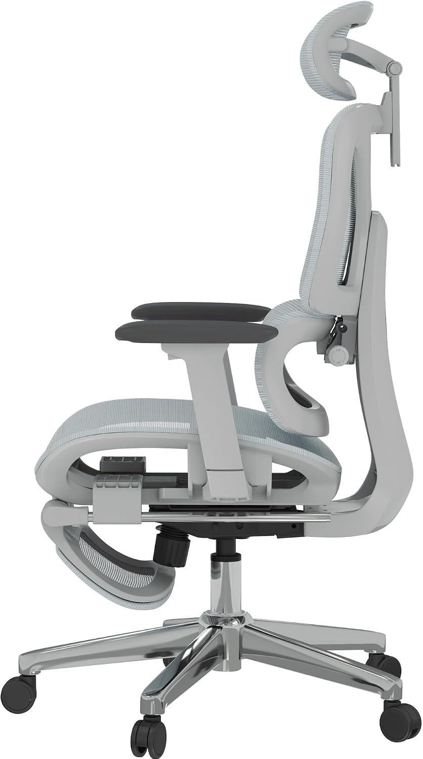 FLEXISPOT ErgoX Premium Ergonomic Office Chair Blue-FT