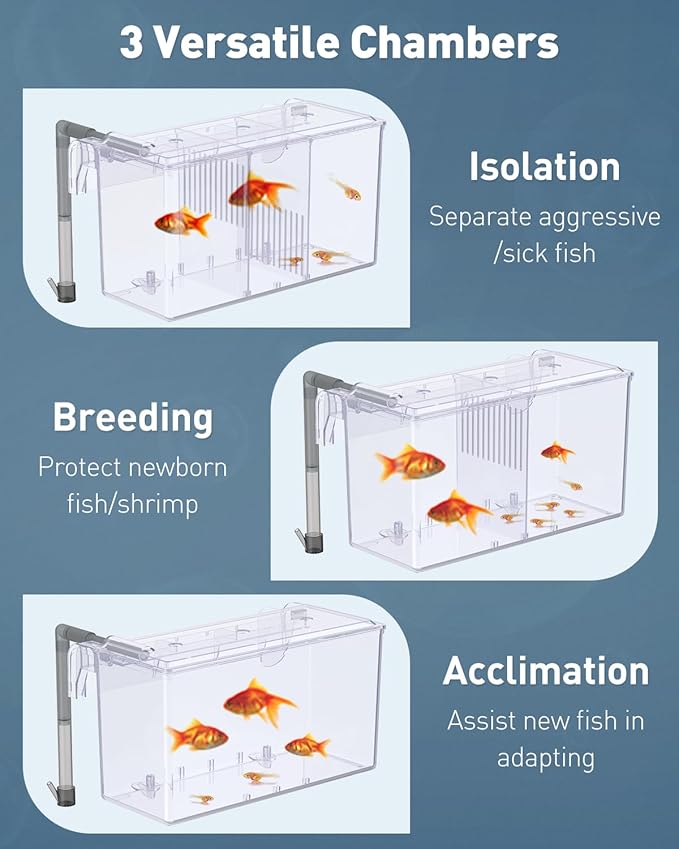 Pawfly Aquarium Breeding Box Fish Tank Hatchery Incubator Acrylic Breeder Box for Aggressive Fish Guppy