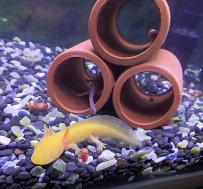 Ceramic Shelters, 2 pcs, Fish Tank Accessories, Fish House, Aquarium Hideout, Swim Holes Aquatic, Aquarium Cave, Ceramic Decoration for Freshwater and Saltwater Fish Tank (Pipes)