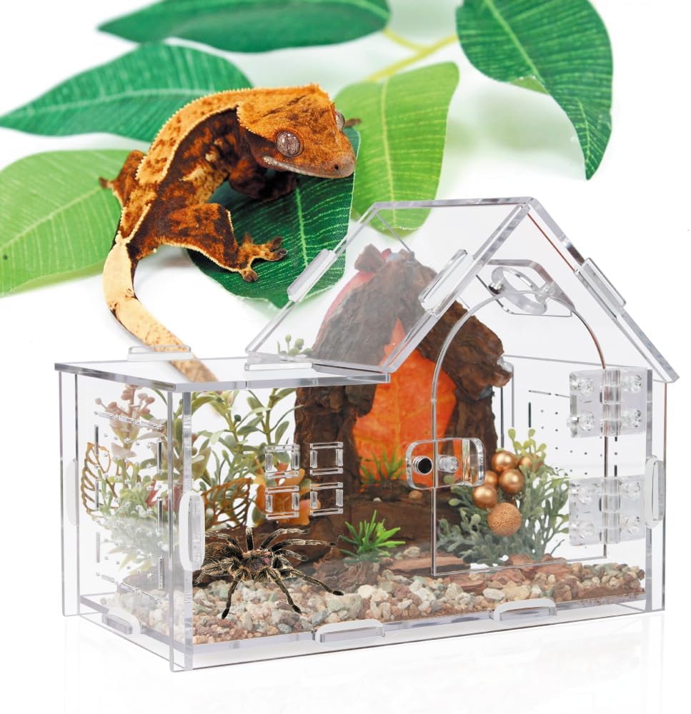 Acrylic Jumping Spider Enclosure - Versatile Reptile Enclosure with One-Click Magnetic Closure, Perfect for Tarantula, Gecko, Chameleon, Beetle, Mantis, and Hermit Crab